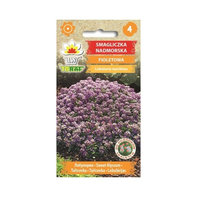 Sweet alyssum purple seeds