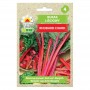 Snijbiet zaden - Rhubarb Chard