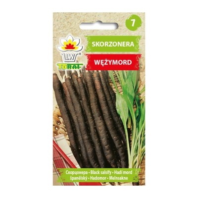 Black salsify seeds (Scorzonera)