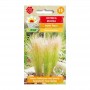 Stipa tenuissima Pony tails | Flower Seeds