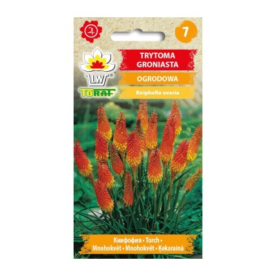 Torch lily seeds