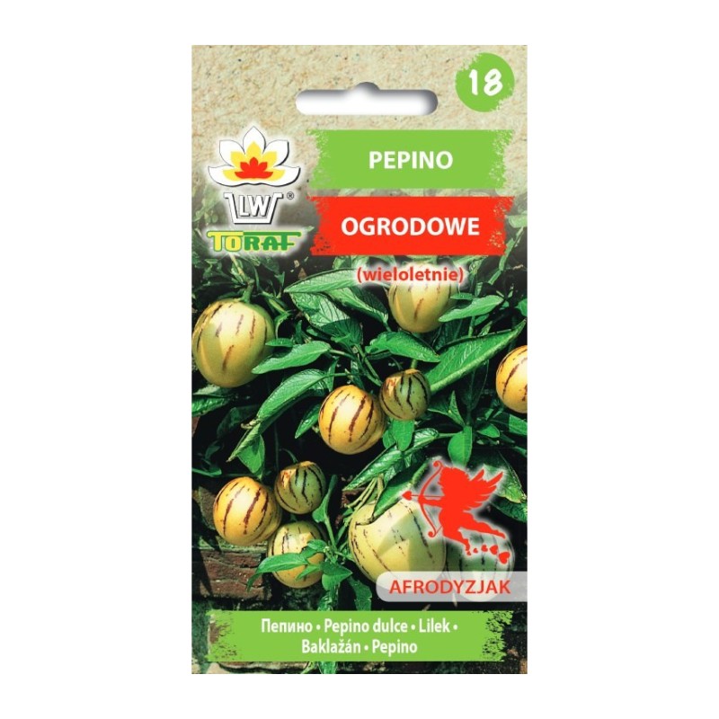 Pepino (Tuinpepino) | Exotic zaden