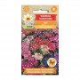 Verbena seeds | Flower Seeds | Buy Flower Seeds | ietsGezond.nl