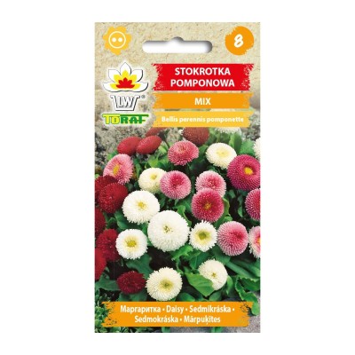 Mixture daisy pompons | Flower Seeds | Buy flower seeds | ietsGezond.nl