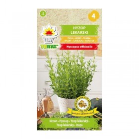 Hyssop | Herbs seeds