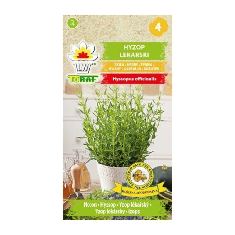 Hyssop | Herbs seeds