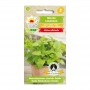 Lemon Balm