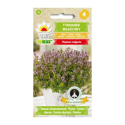 Thyme seeds