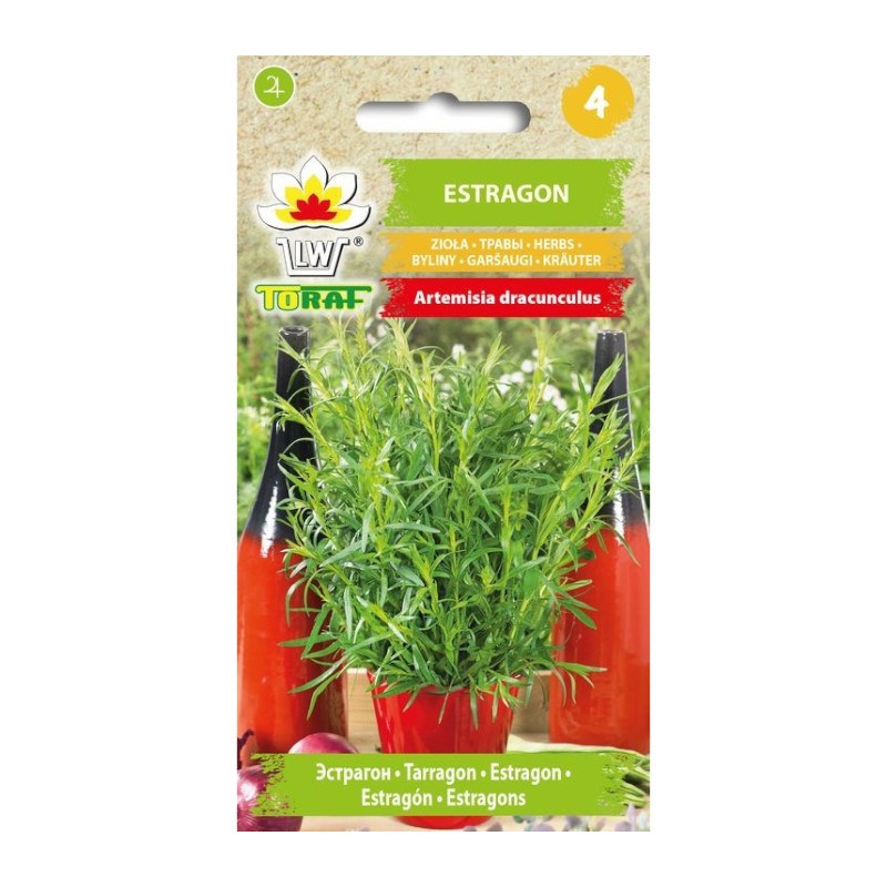 Tarragon | Herbs seeds