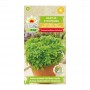 Basil lemon | herbs seeds