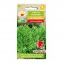 Lovage | Herbs seeds | Buy | ietsGezond.nl