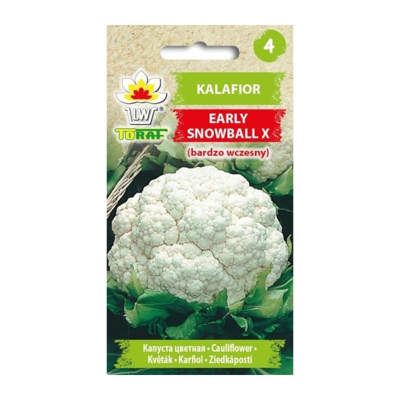Cauliflower Early Snowball X | Vegetable seeds