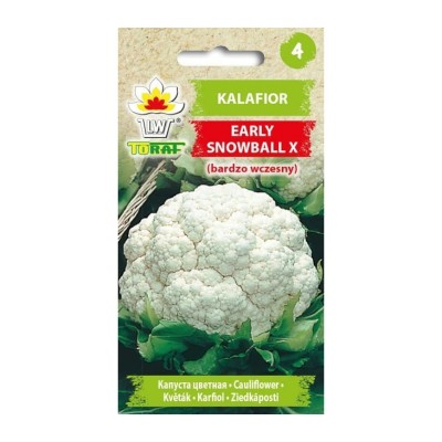 Bloemkool Early Snowball X