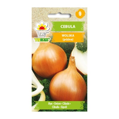 Cebula Wolska | Nasiona warzyw | Kup | ietsGezond.nl