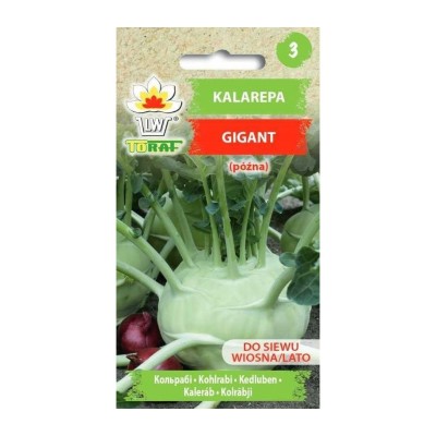 Kohlrabi Gigant