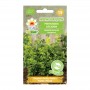 BIO Parsley leaf gigante Italia | Herbs seeds