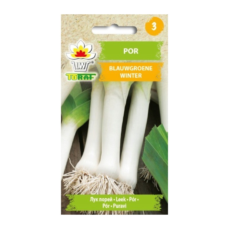 Leek blauwgroene winter alaska | Vegetable seeds