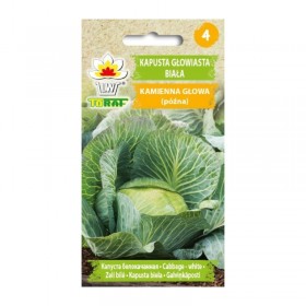 Late Variety - Perfect for Consumption & Storage