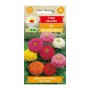 Zinnia elegans (Zinnia Dahlia) Mix