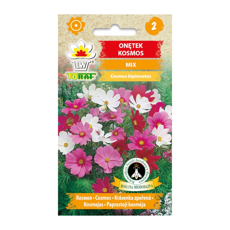 Garden cosmos - Mexixan Aster mix