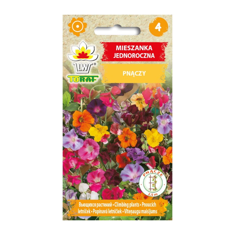 Flower mix creepers