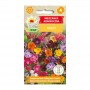 Flower mix creepers | Flower Seeds