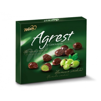 Kruisbessen in chocolade | 250g [t.h.t. 28.05.2025]