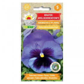 Pansy blue with blotch