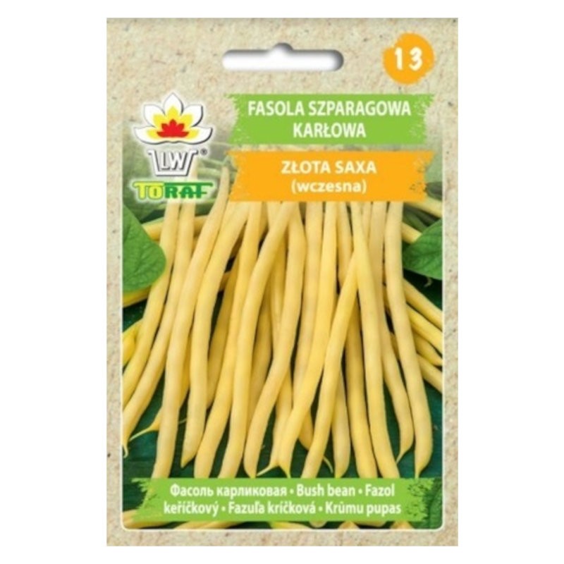 Fasola szparagowa Złota Saxa | Nasiona warzyw 50g