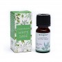 Californian White Sage | essentiale oil | 10ml