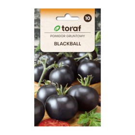 Tomaat Blackball