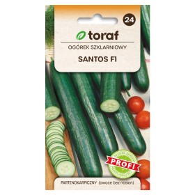 Cucumber  Santos F1