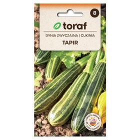Zucchini Tapir | Vegetable seeds