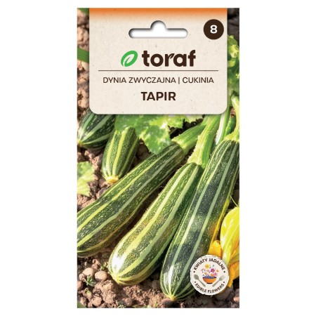 Zucchini Tapir | Vegetable seeds