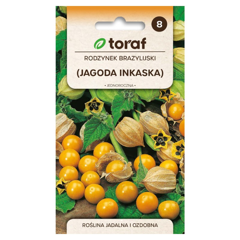 Physalis peruviana | Vegetable seeds