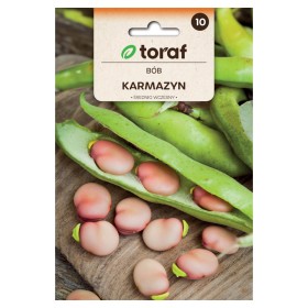 Broad beans Karmazyn