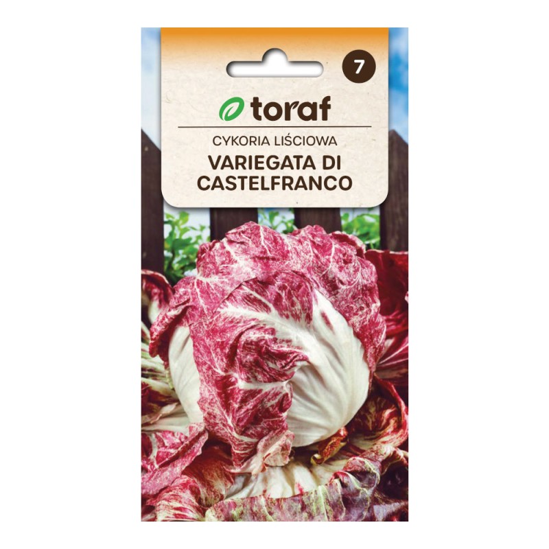 Chicory Variegata Di Castelfranco | Vegetable seeds