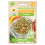 BIO Lentils | Sprouting seeds