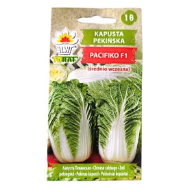 Chinese Cabbage Pacifiko - Quality and Productivity