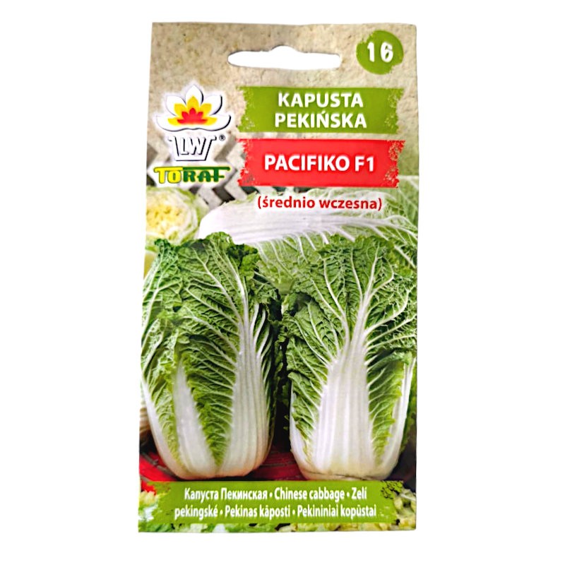 Kapusta pekińska Pacifiko F1 | Nasiona warzyw