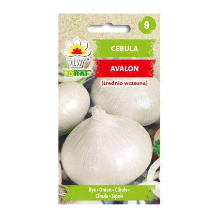 Onion Avalon | Vegetable seeds