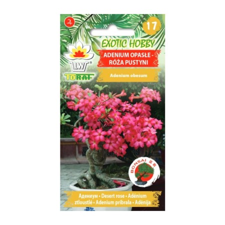 Desert Rose Adenium obesum | Exotic seeds