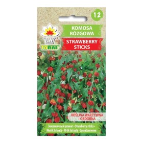 Komosa Rózgowa Strawberry Sticks | Nasiona do sadzenia