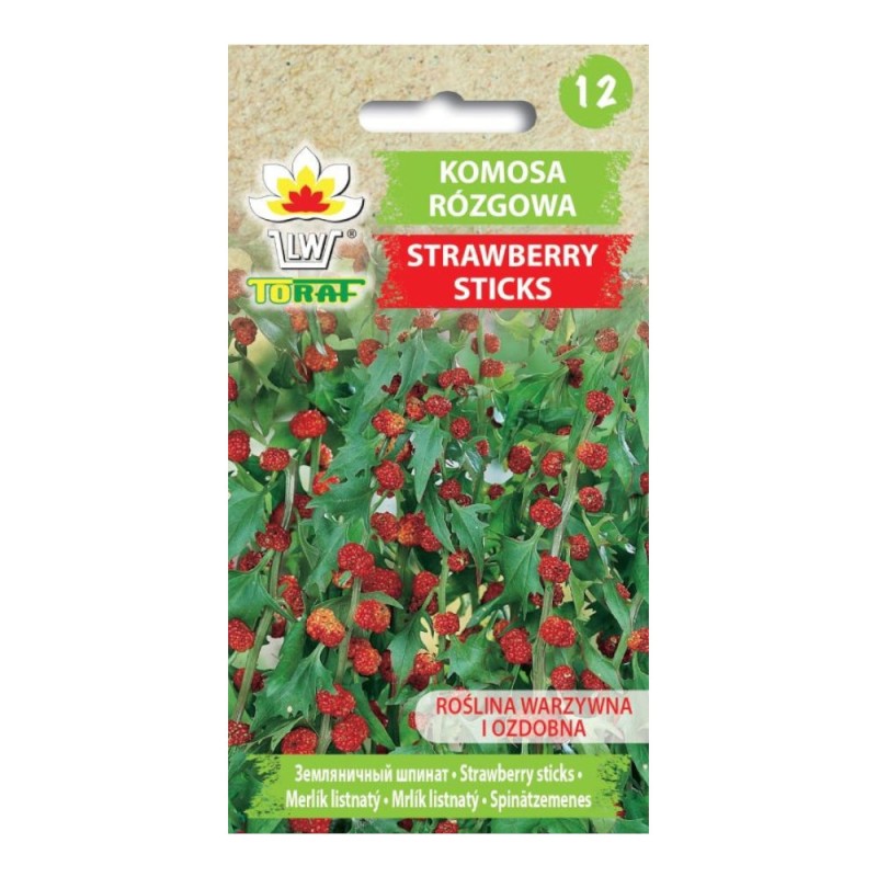 Leafy goosefoot Strawberry Sticks | Seeds for planting