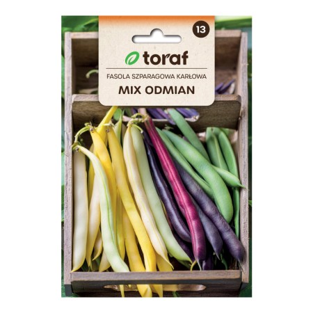 Dwarf String Bean Mix | Vegetable seeds