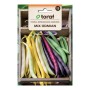 Dwarf String Bean Mix | Vegetable seeds