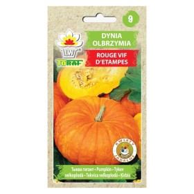 Reuzenpompoen Rouge Vif D etampes