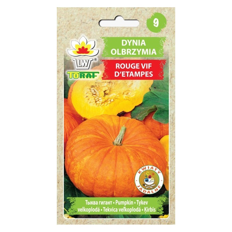 Giant Pumpkin Rouge Vif D etampes | Vegetable seeds