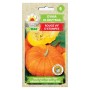 Giant Pumpkin Rouge Vif D etampes | Vegetable seeds