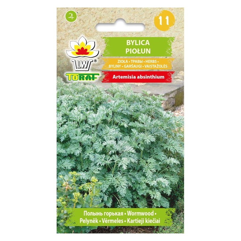 Common Wormwood | Herbs seeds
